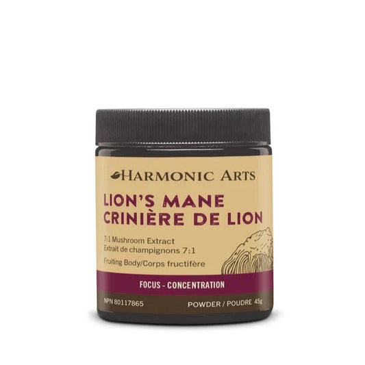 Lion's Mane Mushroom Powder 45g
