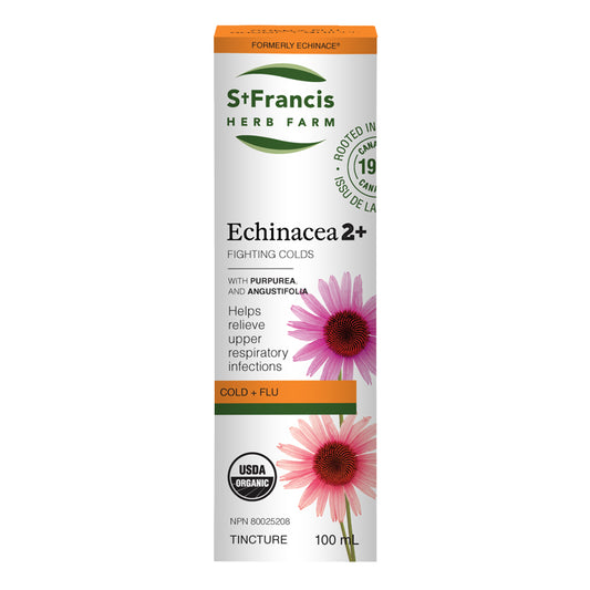 St. Francis Echinacea 2+