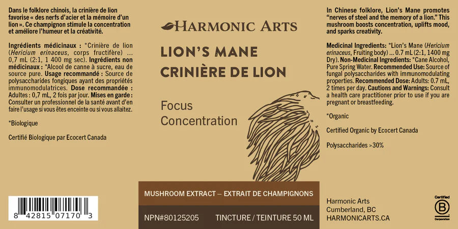 Lion's Mane Tincture