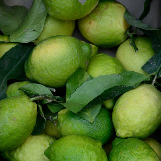 Vinesation Key Lime White Balsamic 200ml