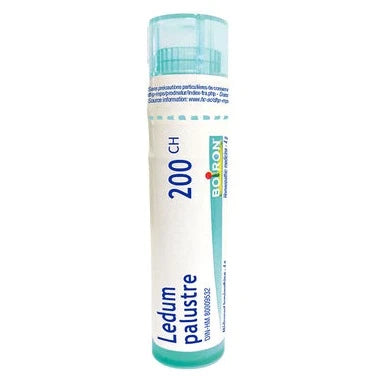 Ledum Palustre 200CH