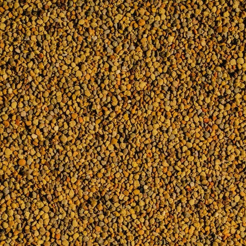 Bee Pollen