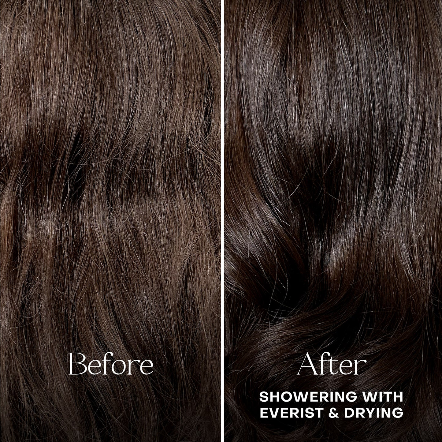 Everist Conditioner