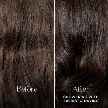 Everist Conditioner