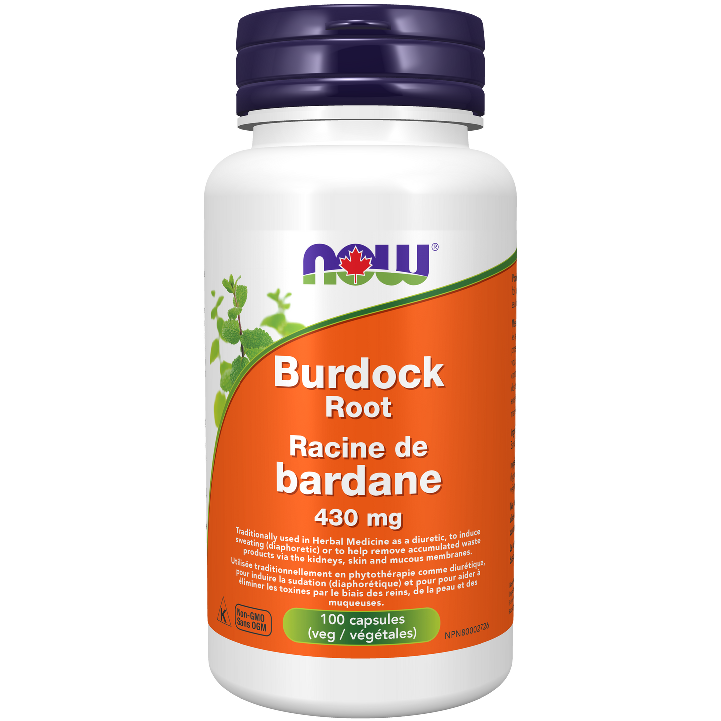 NOW Burdock Root