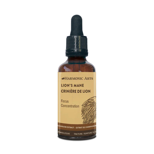 Lion's Mane Tincture