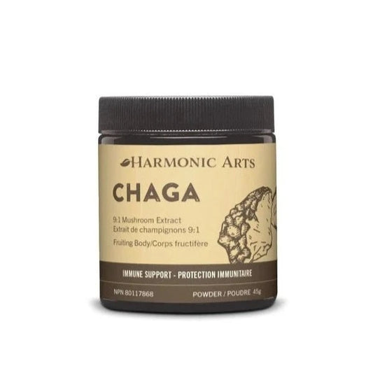 Chaga Mushroom Powder 45g