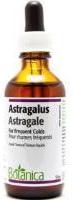 ASTRAGALUS (LIQUID TINCTURE) 50ml